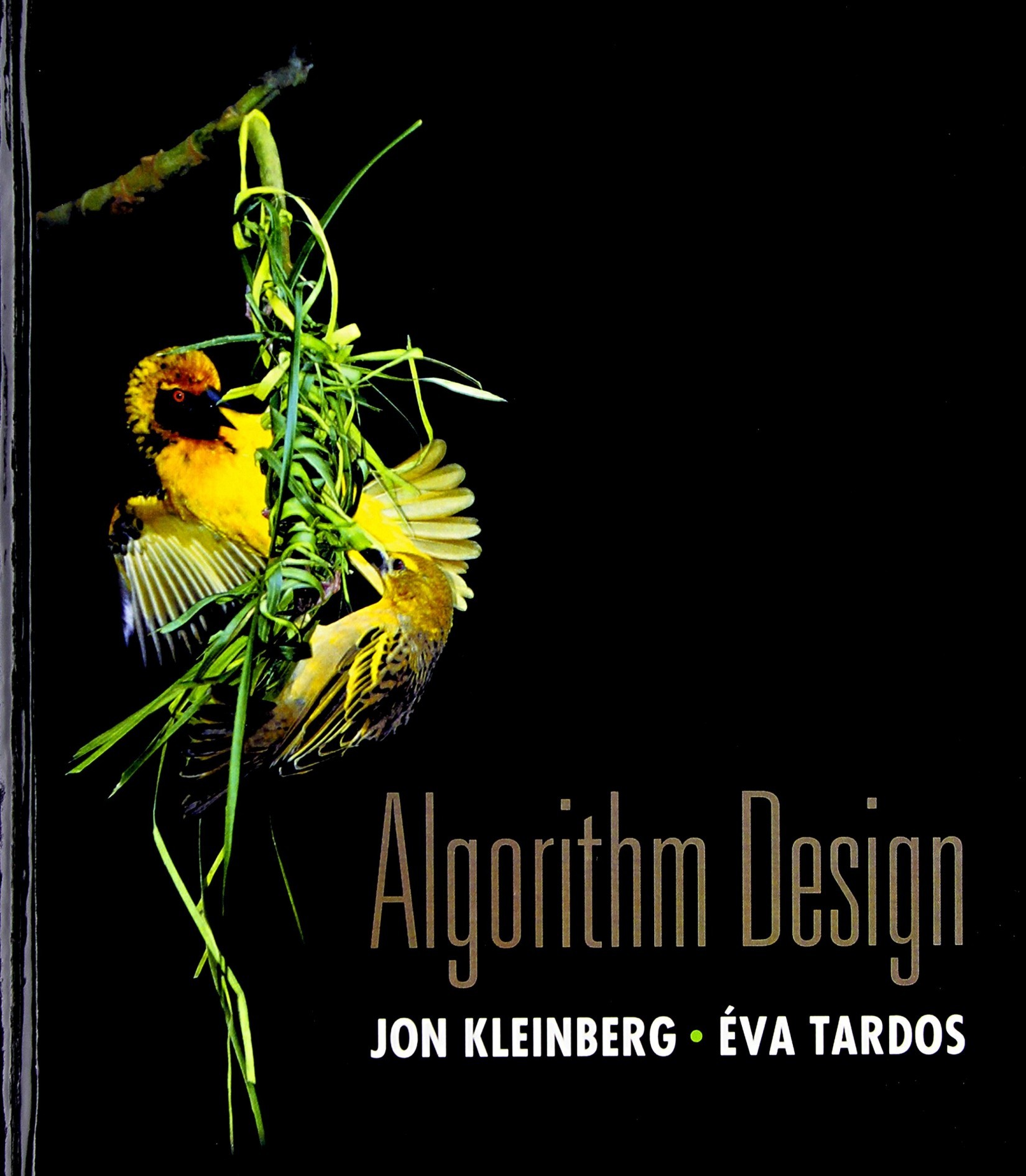 Algorithm Design